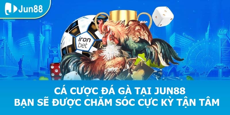 Cá cược đá gà tại Jun88, bạn sẽ được chăm sóc cực kỳ tận tâm