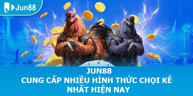 Jun88 cung cấp nhiều hình thức chọi kê dẫn nhất hiện nay